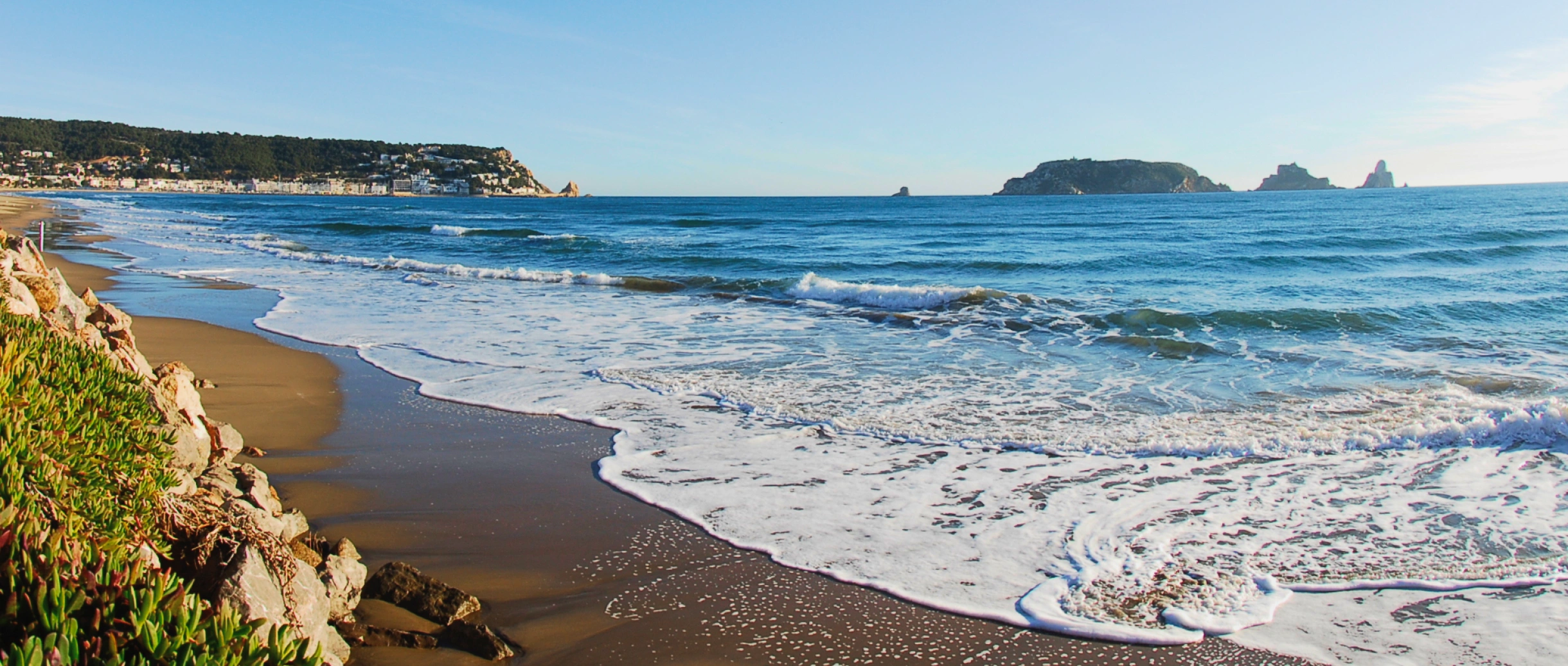 Butlletí de novembre 2025